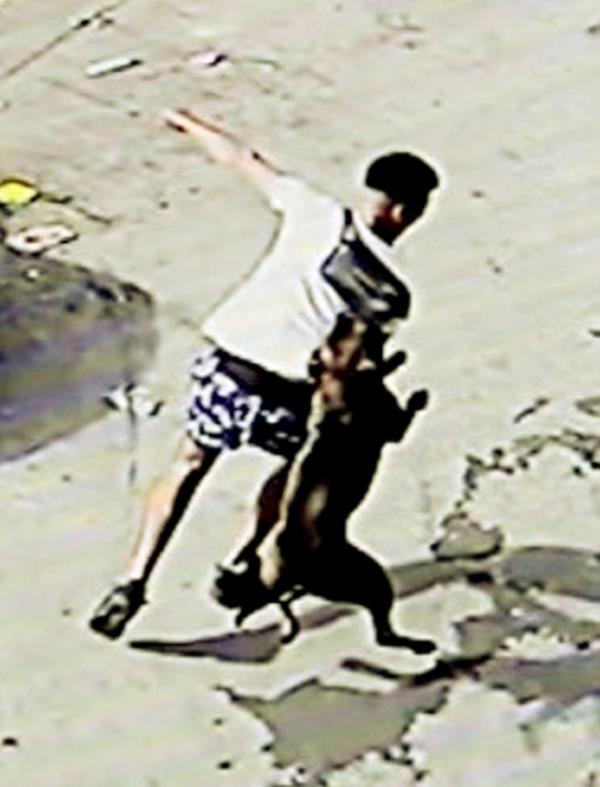 CCTV footage of the dog attacking members of the public on a garage forecourt, in Bordelsy Green, Birmingham. September 9, 2023. Release date -September 11, 2023. See SWNS story BNmaul. Three people including an 11-year-old girl have been hurt in a dog attack in Birmingham. West Midlands Police said the child was bitten as she ran past the animal while it was being walked by its owner in Bordesley Green on Saturday (9/9). Two men intervened but were also bitten and left with injuries to their shoulders and arms. They were taken to hospital to be treated for their wounds. The force said the girl sustained similar injuries not thought to be life-threatening.