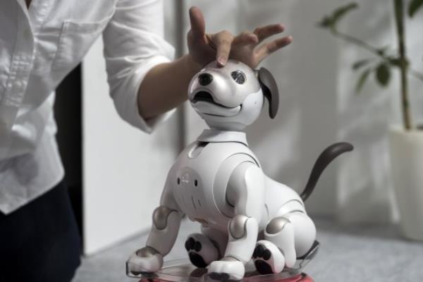 A Sony Corp. Aibo robotic dog is demo<em></em>nstrated during the Ceatec Japan 2019 co<em></em>nsumer electro<em></em>nics show on October 15, 2019 in Chiba, Japan. The Ceatec, an information technology and electro<em></em>nics trade show, displaying latest technologies runs from October 15 to 19. (Photo by Tomohiro Ohsumi/Getty Images)